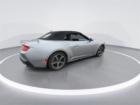 Used 2024 Ford Mustang Premium image 8