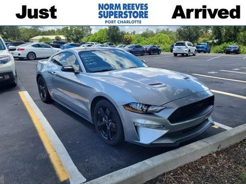 Used 2023 Ford Mustang Coupe w/ Equipment Group 101A RWD image 1