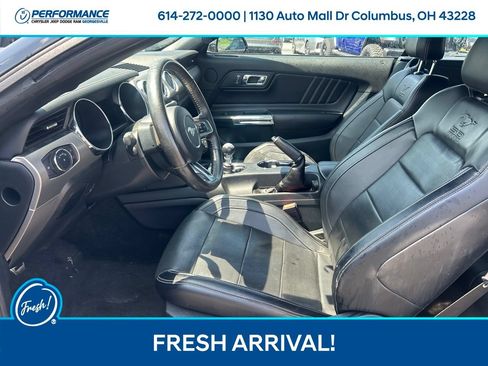 Used 2015 Ford Mustang GT Premium w/ Equipment Group 401A RWD image 12