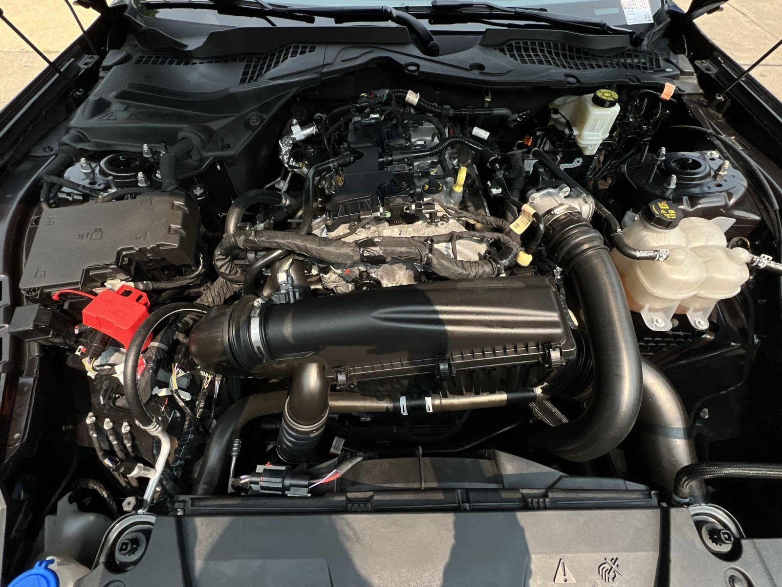 Used 2024 Ford Mustang Coupe RWD image 49