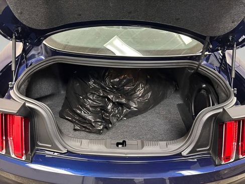 Used 2015 Ford Mustang 50 Years image 20