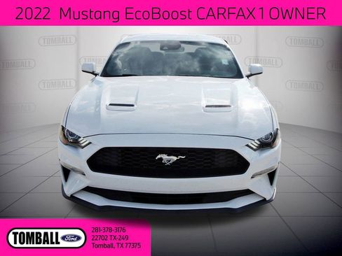 Used 2022 Ford Mustang EcoBoost w/ Equipment Group 101A image 2
