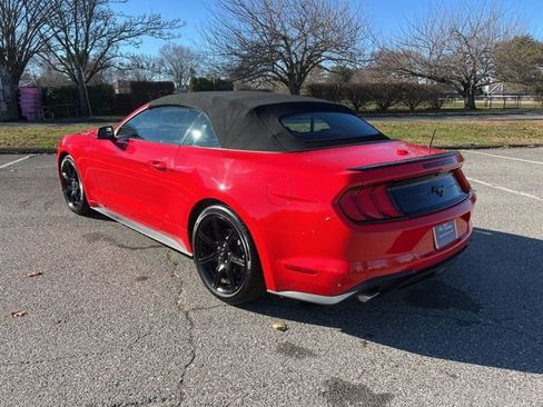 Certified 2019 Ford Mustang Premium w/ Equipment Group 201A image 6