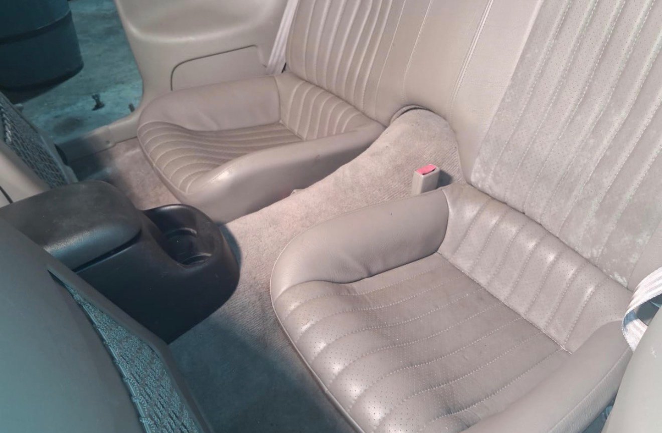 Used 2001 Pontiac Firebird Trans Am RWD image 5