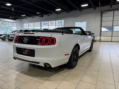 Used 2014 Ford Mustang Premium RWD image 6