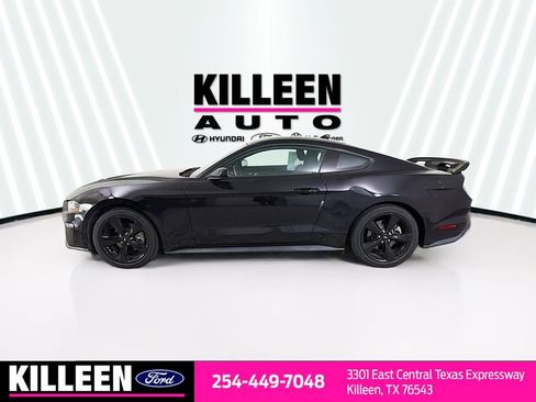 Used 2022 Ford Mustang EcoBoost w/ Equipment Group 101A image 4