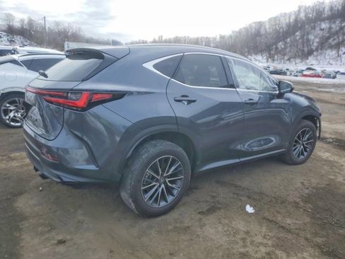 Used 2025 Lexus NX 350h AWD w/ Luxury Package image 5