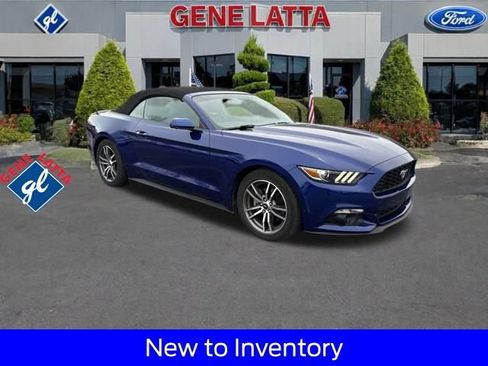 Used 2016 Ford Mustang Premium w/ Equipment Group 201A image 1