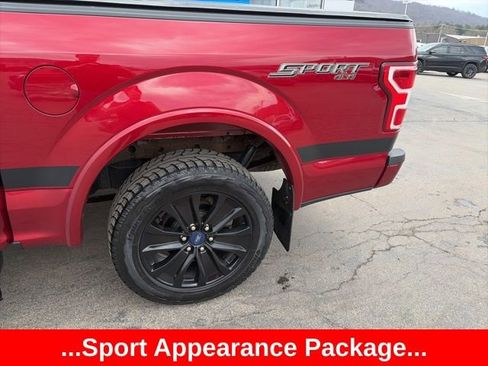 Used 2019 Ford F150 XLT w/ Equipment Group 302A Luxury image 4