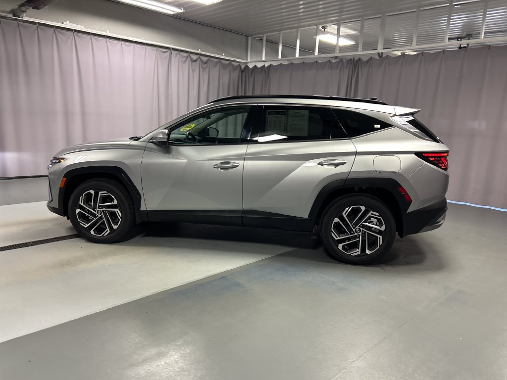 Used 2026 Hyundai Tucson Limited AWD/4WD image 4