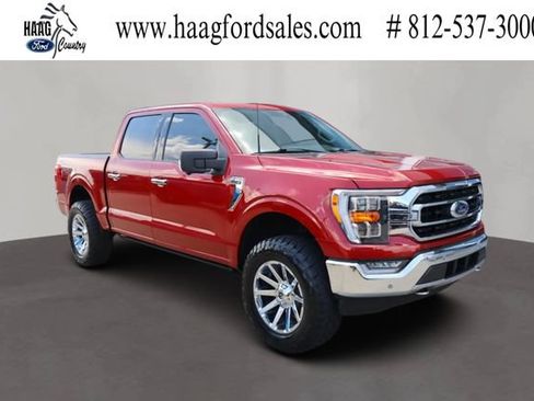 Used 2021 Ford F150 XLT w/ Equipment Group 302A High AWD/4WD image 1