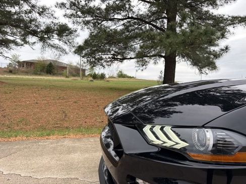 Used 2023 Ford Mustang GT Premium w/ Equipment Group 401A image 9