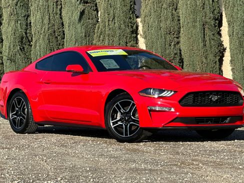 Used 2019 Ford Mustang Premium image 2