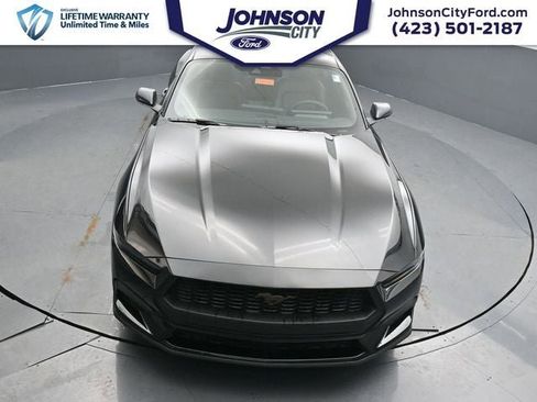 New 2026 Ford Mustang Premium w/ Bronze Appearance Package image 3