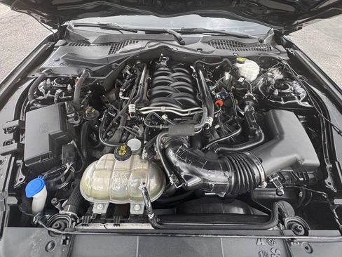 Used 2023 Ford Mustang GT w/ Equipment Group 301A RWD image 2