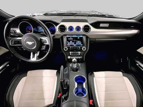 Used 2015 Ford Mustang 50 Years RWD image 14