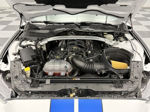 Used 2017 Ford Mustang Shelby GT350 image 3