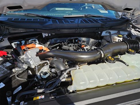 Used 2025 Ford F150 XLT w/ Equipment Group 301A Standard image 23