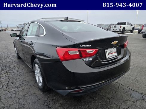Used 2019 Chevrolet Malibu LS w/ LPO, Convenience Package 1 image 6