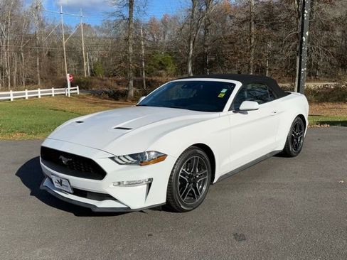 Certified 2021 Ford Mustang Premium image 10