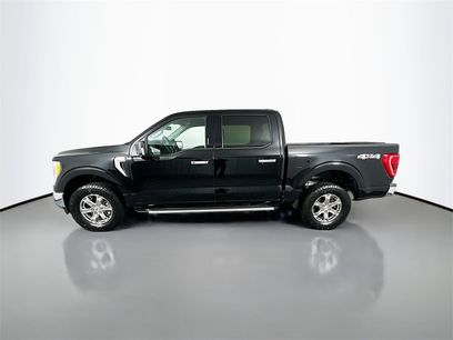 Used 2023 Ford F150 XLT w/ Equipment Group 302A High