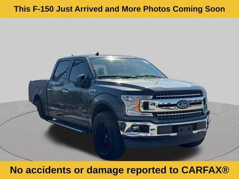 Used 2019 Ford F150 XLT w/ Equipment Group 302A Luxury RWD image 3