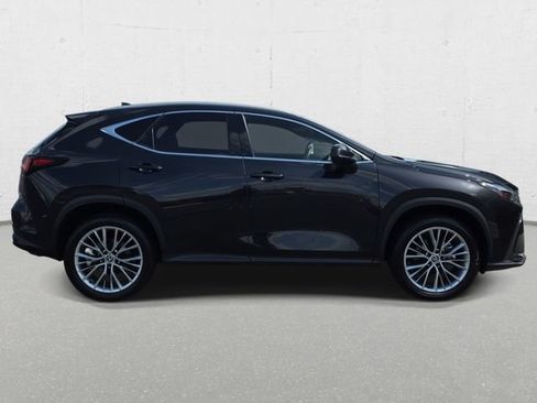 Certified 2025 Lexus NX 350h AWD w/ Cold Area Package image 4