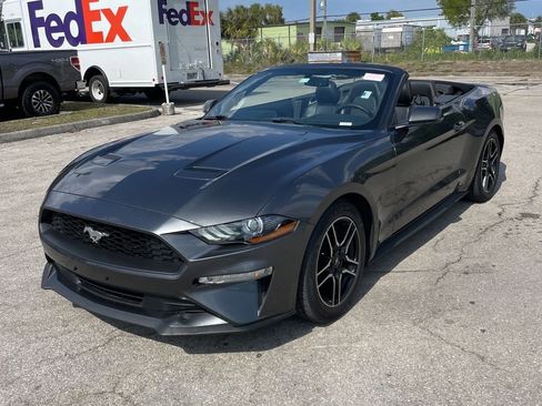Used 2019 Ford Mustang Premium RWD image 2