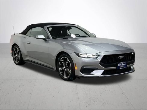 Used 2024 Ford Mustang Premium image 7
