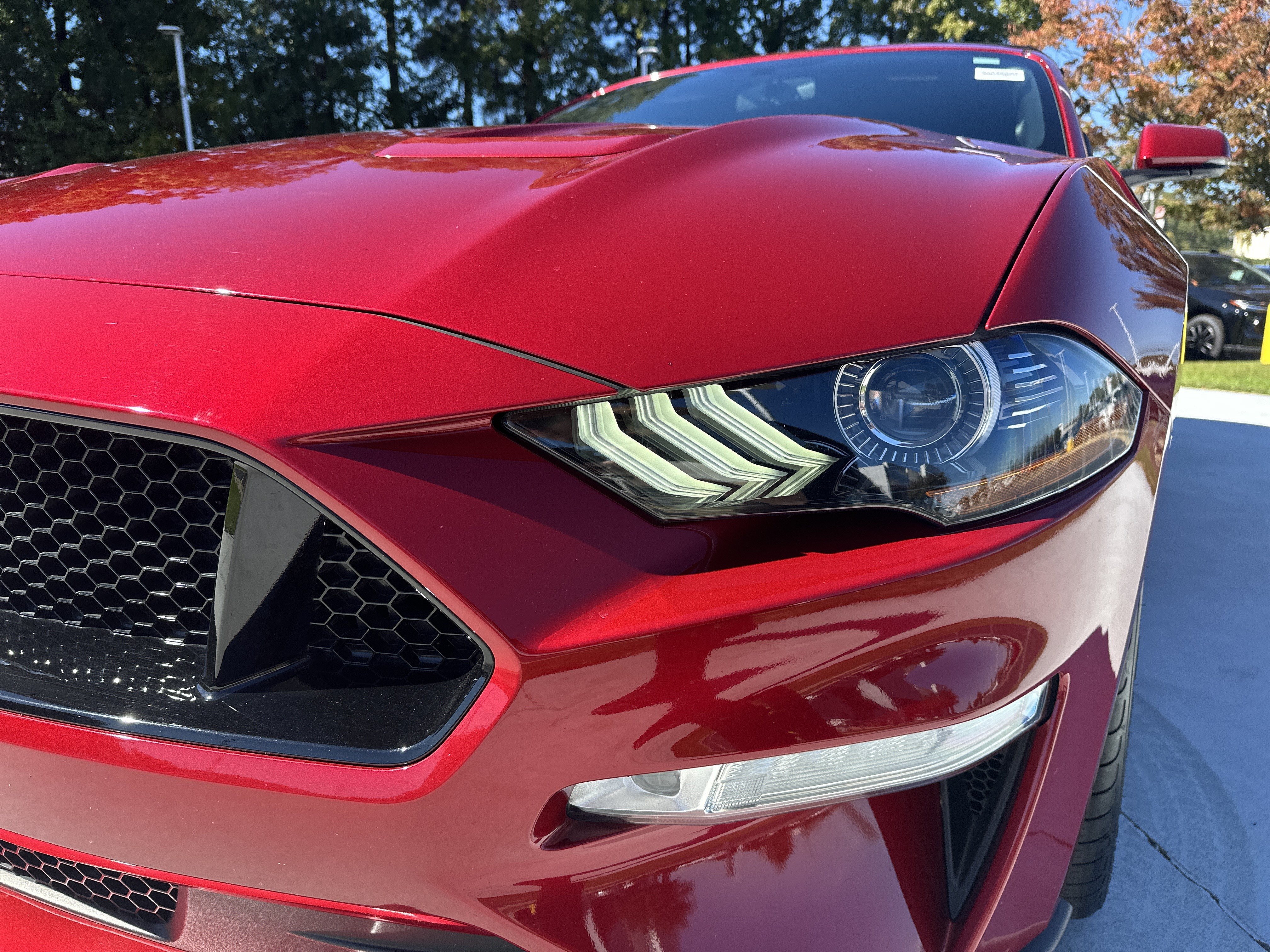 Used 2020 Ford Mustang GT Premium w/ Equipment Group 401A RWD image 6