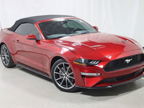 Used 2019 Ford Mustang Premium w/ Equipment Group 201A image 2