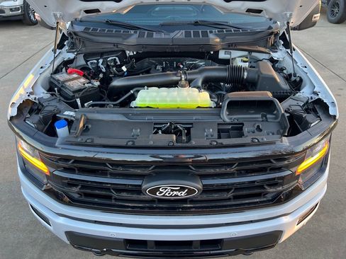 New 2025 Ford F150 XLT w/ Equipment Group 302A MID image 18