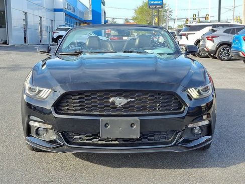 Used 2015 Ford Mustang Premium w/ Equipment Group 201A image 2