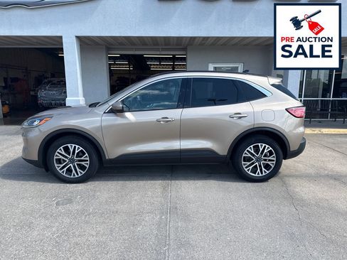 Used 2020 Ford Escape SEL AWD/4WD image 2