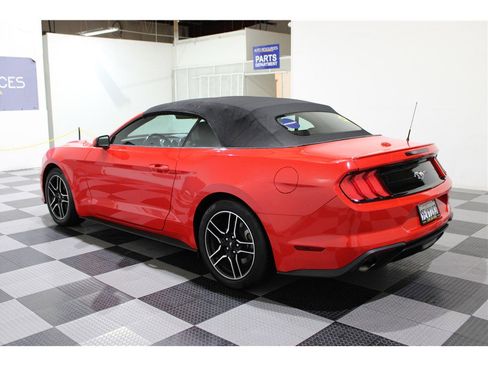 Used 2023 Ford Mustang Premium image 6