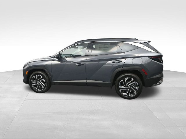 New 2026 Hyundai Tucson Limited AWD/4WD image 6