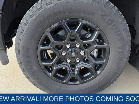 Used 2025 Ford F150 XLT w/ Equipment Group 302A MID image 10