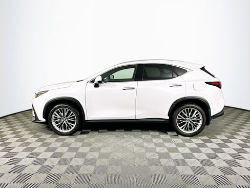 Used 2025 Lexus NX 350 AWD w/ Luxury Package image 4
