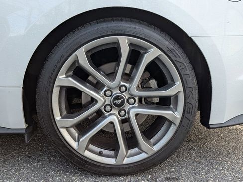 Used 2019 Ford Mustang GT Premium w/ Equipment Group 401A image 14