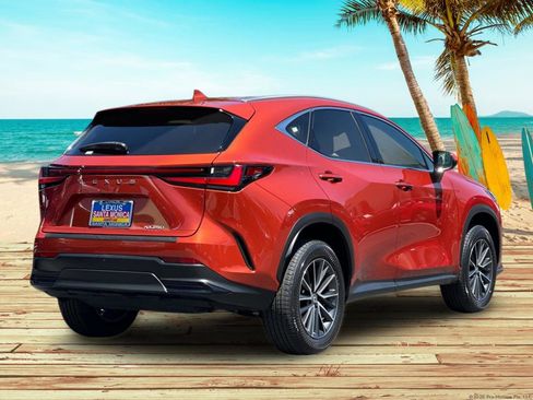 Used 2024 Lexus NX 250 FWD image 6