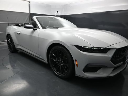 New 2026 Ford Mustang Convertible w/ Mustang Nite Pony Package RWD image 10