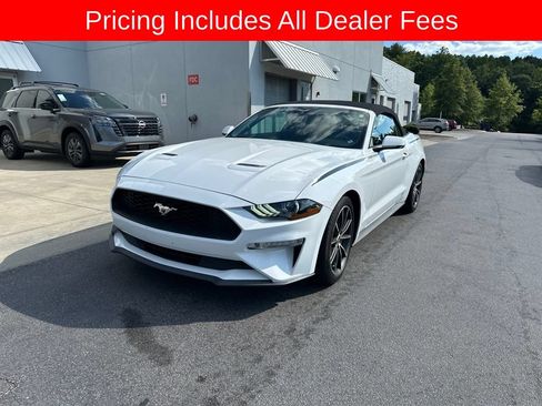 Used 2019 Ford Mustang Premium w/ Equipment Group 201A RWD image 5