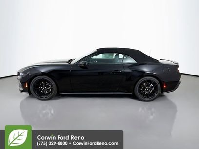 New 2025 Ford Mustang Convertible w/ Mustang Nite Pony Package