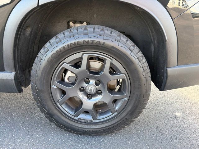 Used 2024 Honda Pilot TrailSport image 10