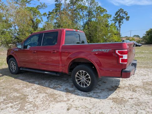 Used 2019 Ford F150 XLT w/ Equipment Group 302A Luxury AWD/4WD image 6