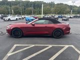 Used 2016 Ford Mustang GT Premium w/ Equipment Group 401A image 3