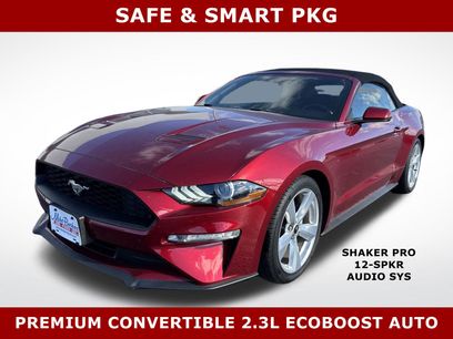 Used 2018 Ford Mustang Premium w/ Equipment Group 201A