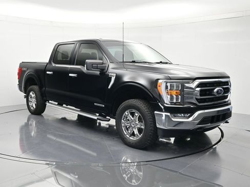 Certified 2023 Ford F150 XLT w/ Equipment Group 302A High AWD/4WD image 3