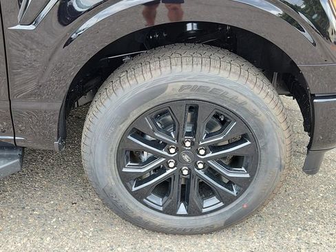 New 2025 Ford F150 XLT w/ Equipment Group 303A High image 19