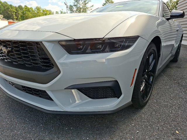 New 2026 Ford Mustang Coupe w/ Mustang Nite Pony Package RWD image 9